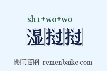 湿挝挝是什么意思的图片